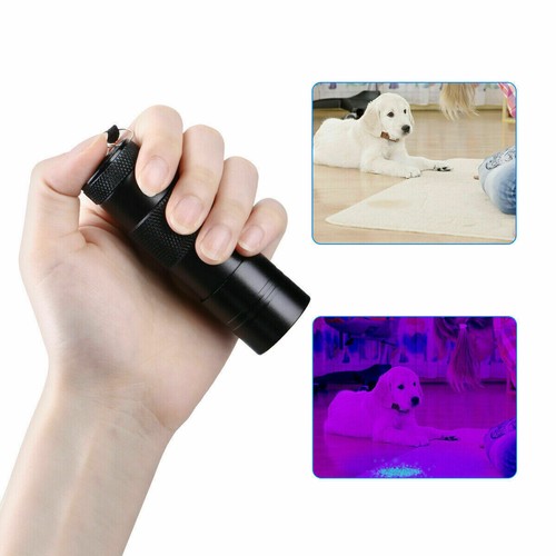 Led ultra violet blacklight - violet,