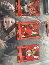 Human Torch  Falcon 2024 High