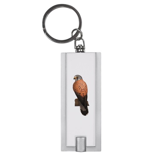 Perched kestrel led - 'perched,